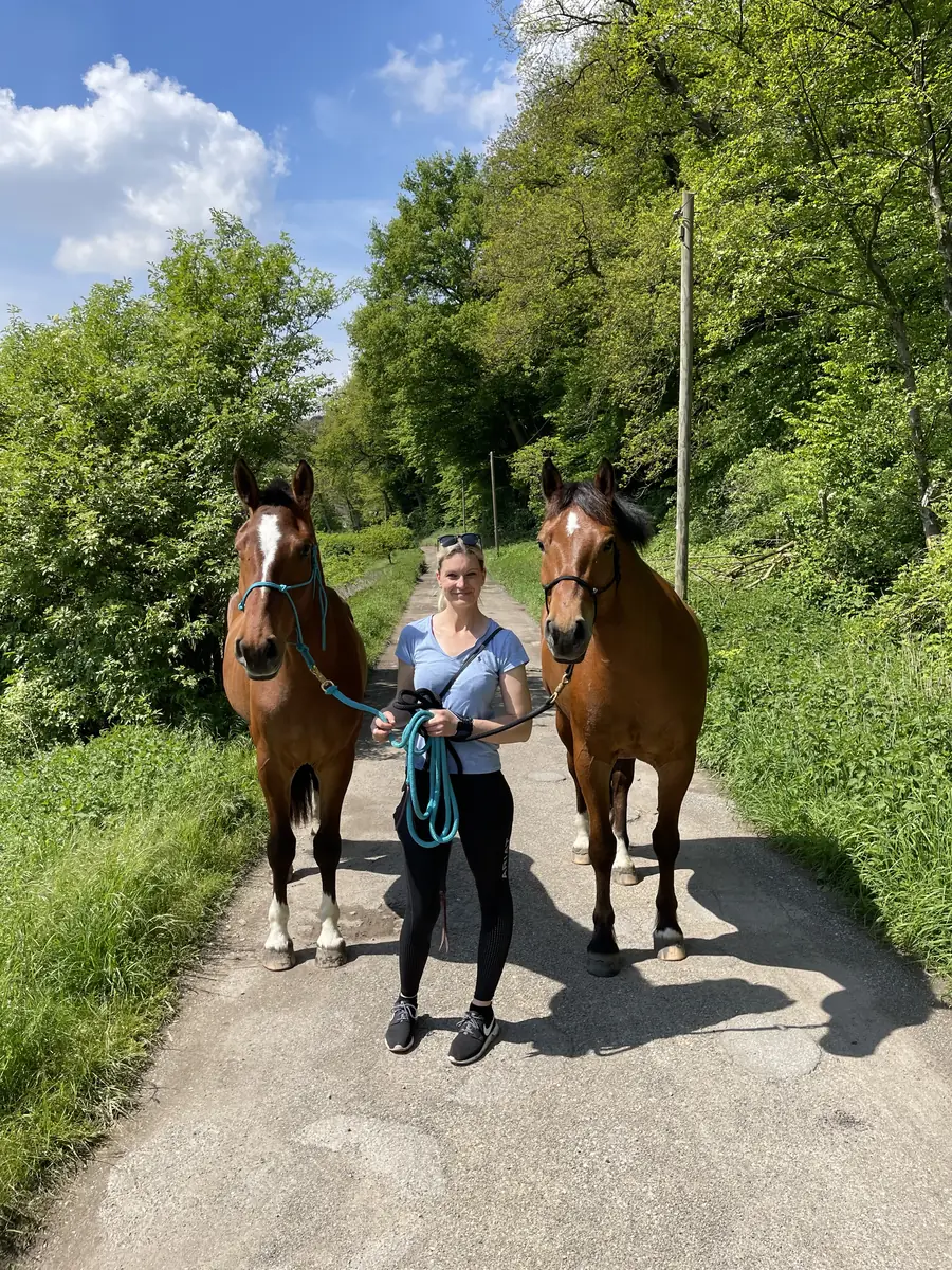 Angelina mit zwei entspannten Pferden an lockeren Stricken auf einem Waldweg