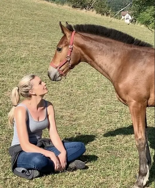 Angelina sitzt mit einem Jungpferd auf der Wiese